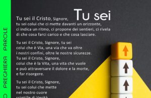 Tu sei Tu sei