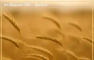 don Alessandro Deho’ – Ascensione don Alessandro Deho' - Ascensione