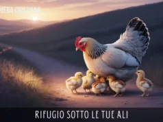 Preghiera della Sera: Rifugio Sotto le Tue Ali Rifugio Sotto le Tue Ali