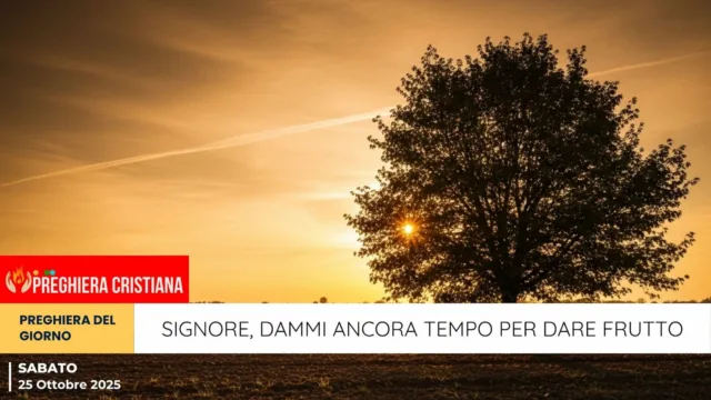 preghiera del giorno - Signore, dammi ancora tempo per dare frutto preghiera del giorno - Signore, dammi ancora tempo per dare frutto