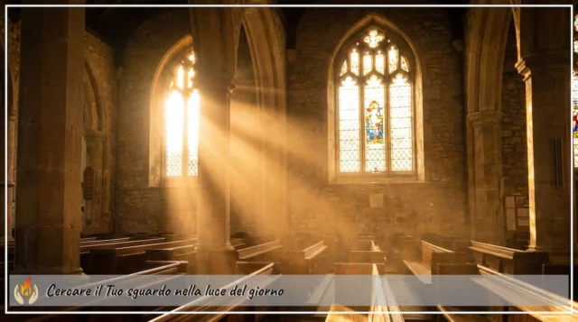 Cercare il Tuo sguardo nella luce del giorno Cercare il Tuo sguardo nella luce del giorno