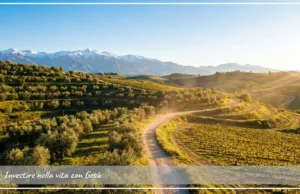 Investire nella vita con Gesù Investire nella vita con Gesù