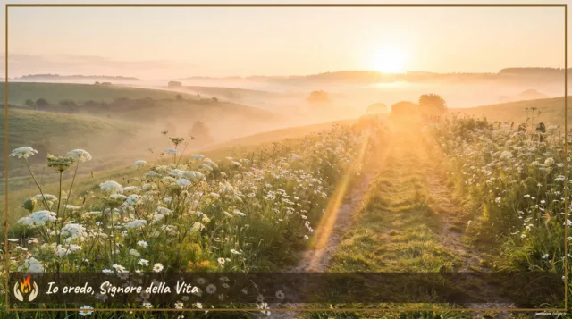 Io credo, Signore della Vita Io credo, Signore della Vita