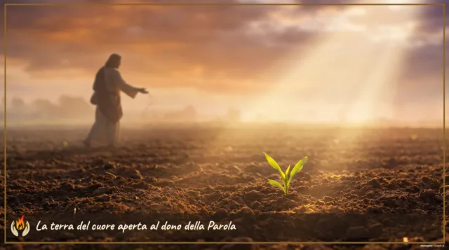 La terra del cuore aperta al dono della Parola La terra del cuore aperta al dono della Parola