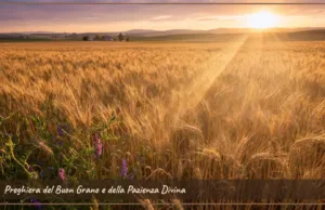 Preghiera del Buon Grano e della Pazienza Divina Preghiera del Buon Grano e della Pazienza Divina