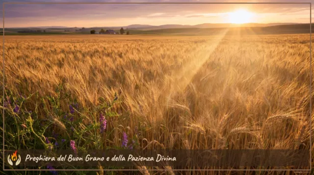 Preghiera del Buon Grano e della Pazienza Divina Preghiera del Buon Grano e della Pazienza Divina