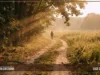 Luce della mia vita Luce della mia vita