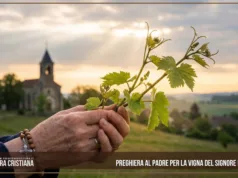 Preghiera al Padre per la vigna del Signore e la missione Preghiera al Padre per la vigna del Signore e la missione