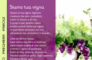 Siamo tua vigna Siamo tua vigna